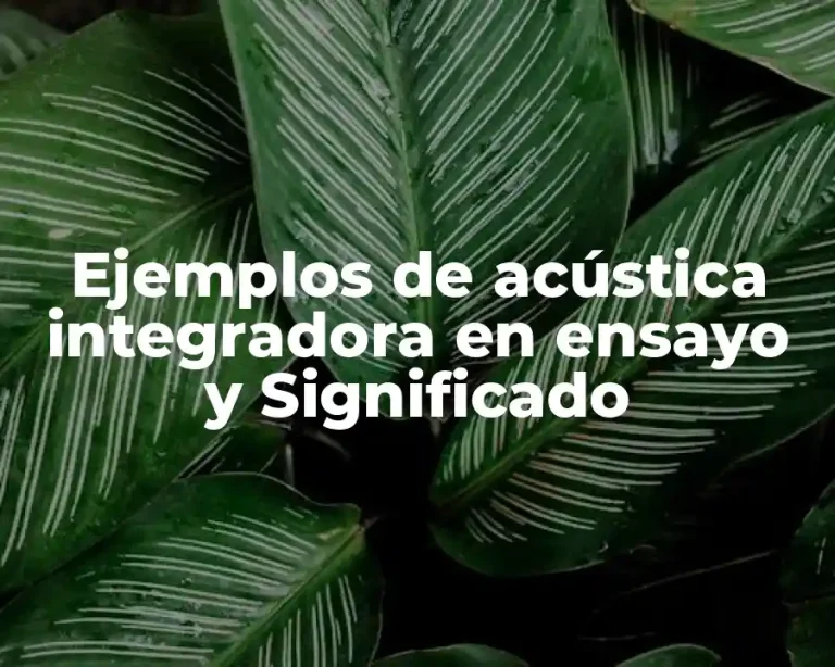 Ejemplos de acústica integradora en ensayo y Significado