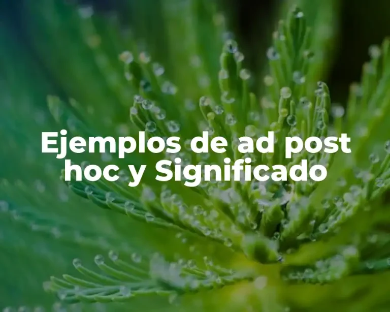 Ejemplos de ad post hoc y Significado