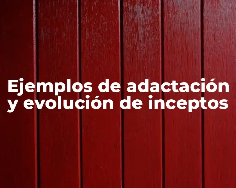 Ejemplos de adactación y evolución de inceptos