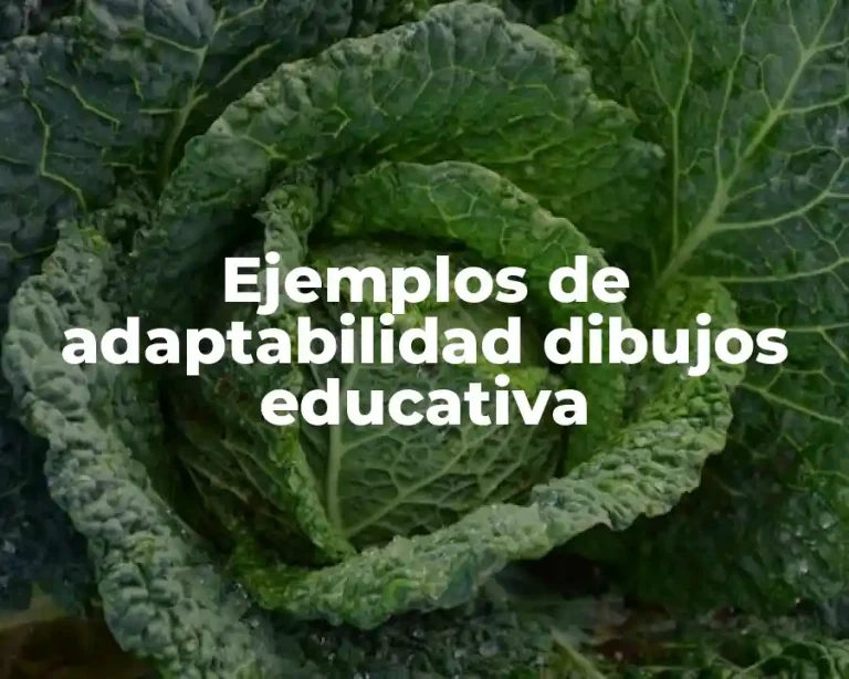 Ejemplos de adaptabilidad dibujos educativa