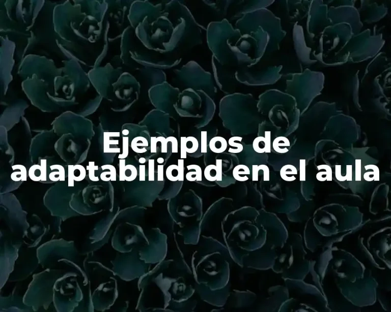 Ejemplos de adaptabilidad en el aula