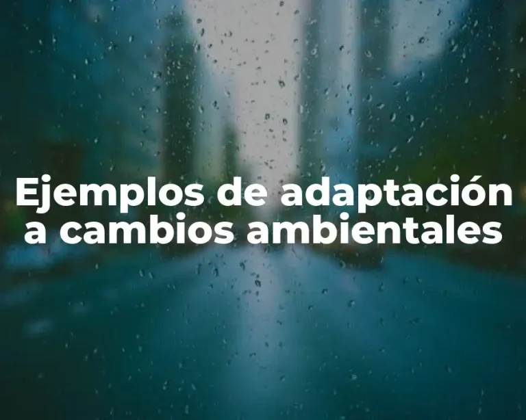 Ejemplos de adaptación a cambios ambientales