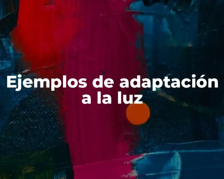 Ejemplos de adaptación a la luz
