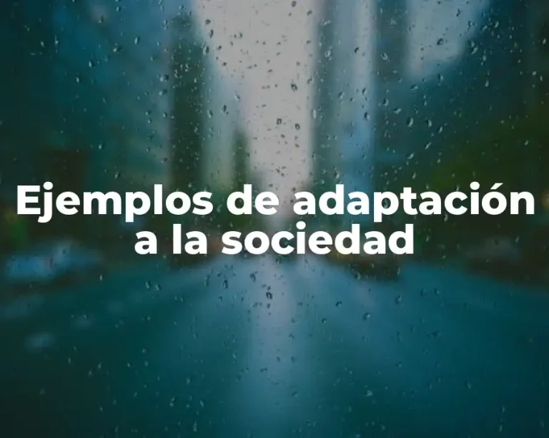 Ejemplos de adaptación a la sociedad