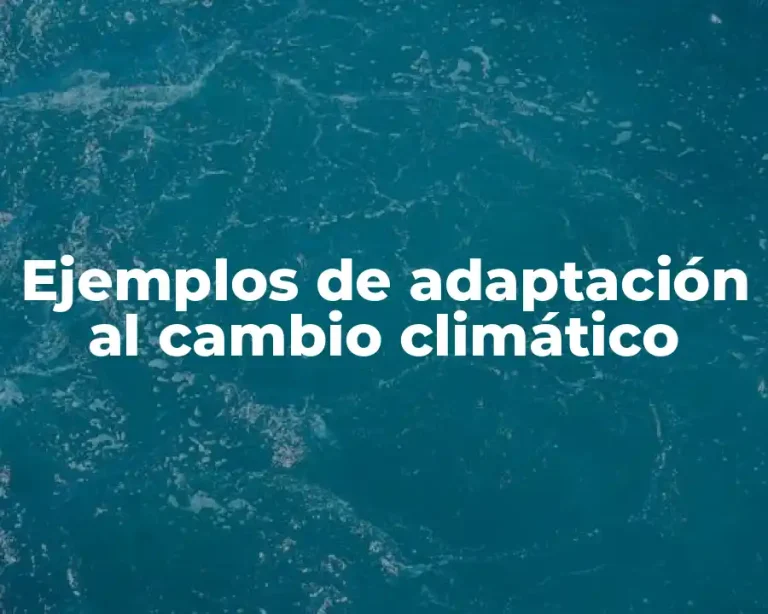 Ejemplos de adaptación al cambio climático