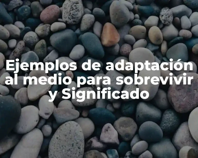 Ejemplos de adaptación al medio para sobrevivir y Significado
