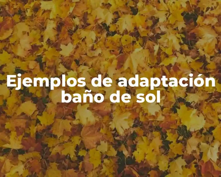 Ejemplos de adaptación baño de sol