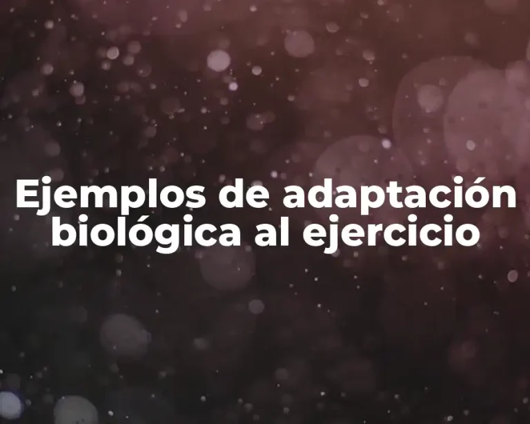 Ejemplos de adaptación biológica al ejercicio