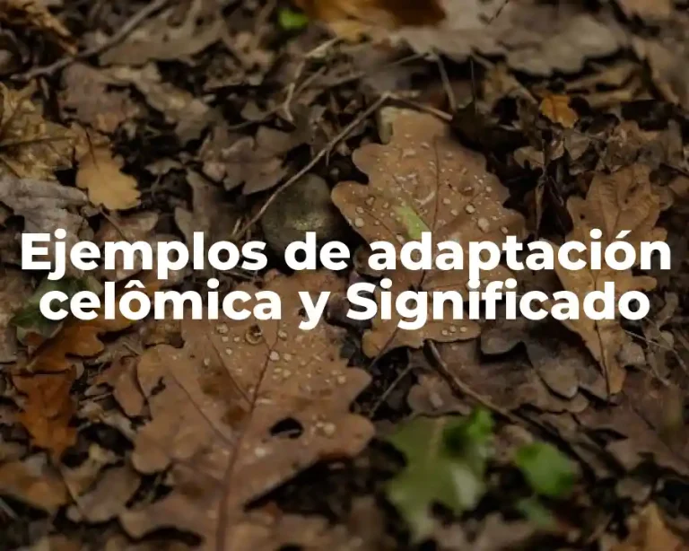 Ejemplos de adaptación celômica y Significado