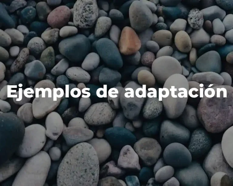 Ejemplos de adaptación