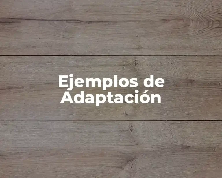 Ejemplos de Adaptación