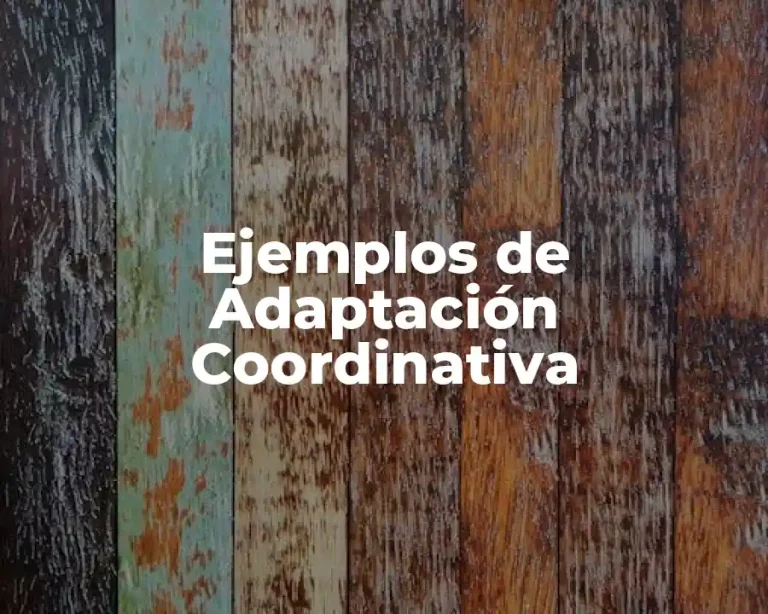 Ejemplos de Adaptación Coordinativa