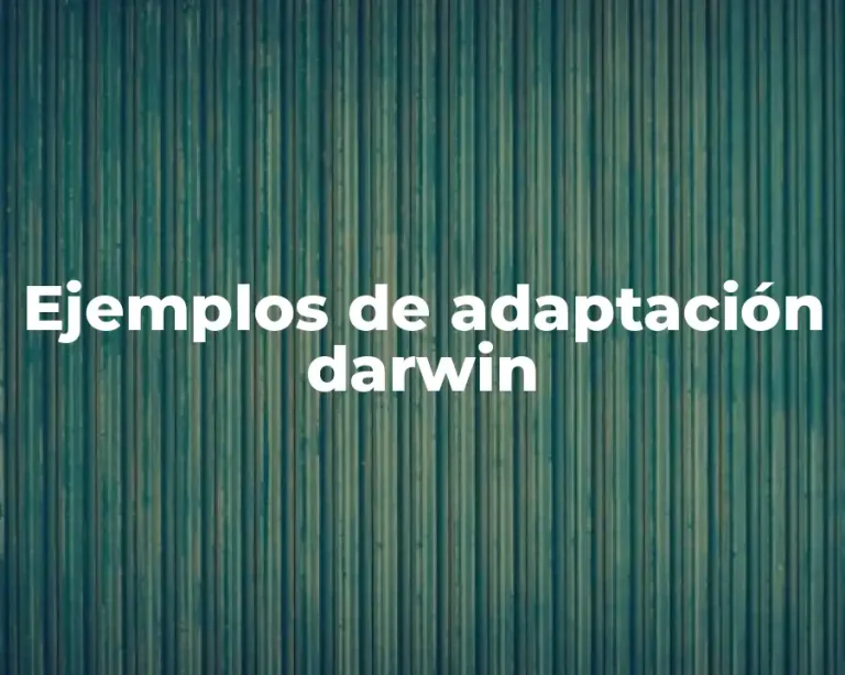 Ejemplos de adaptación darwin