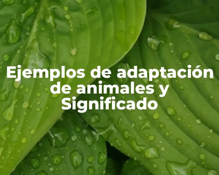 Ejemplos de adaptación de animales y Significado