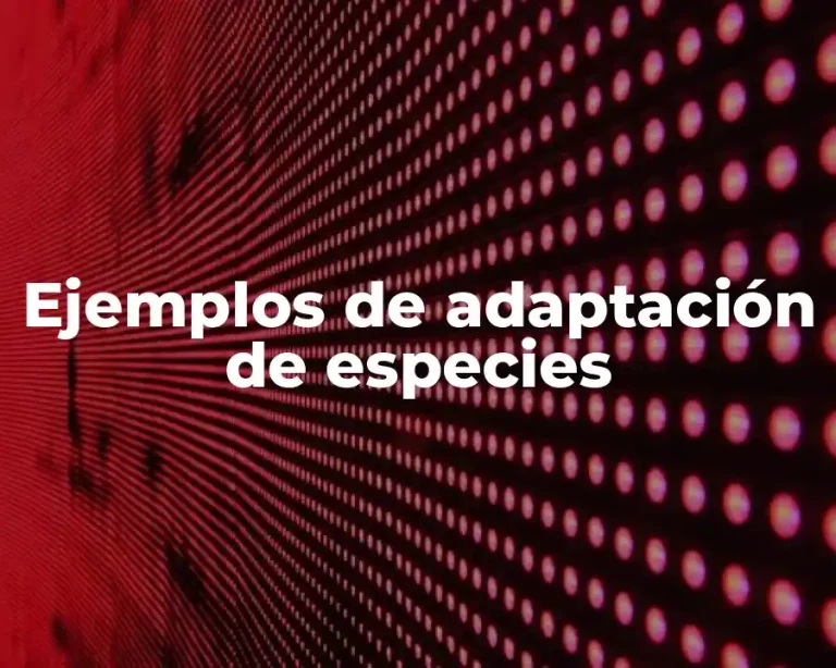 Ejemplos de adaptación de especies