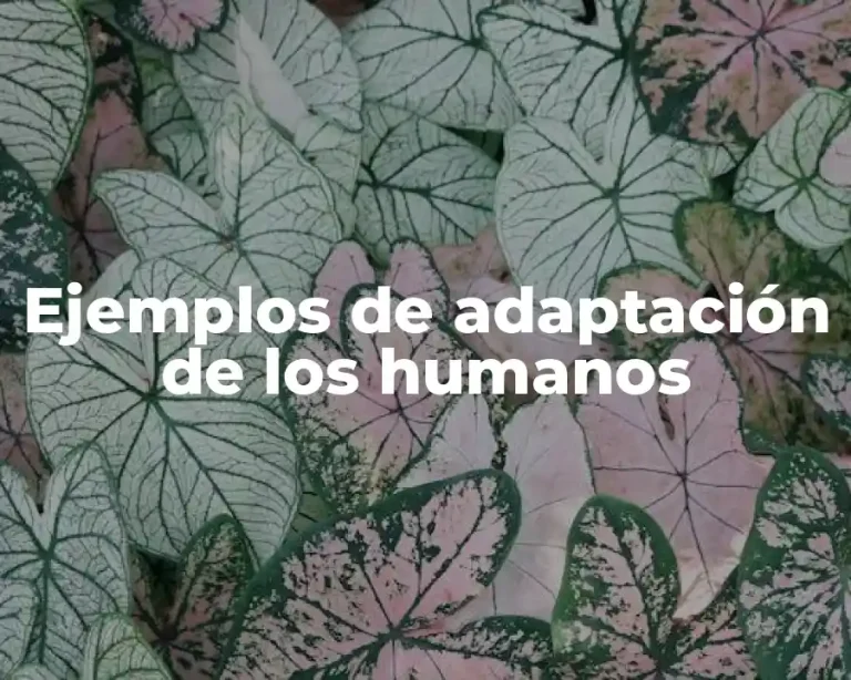 Ejemplos de adaptación de los humanos