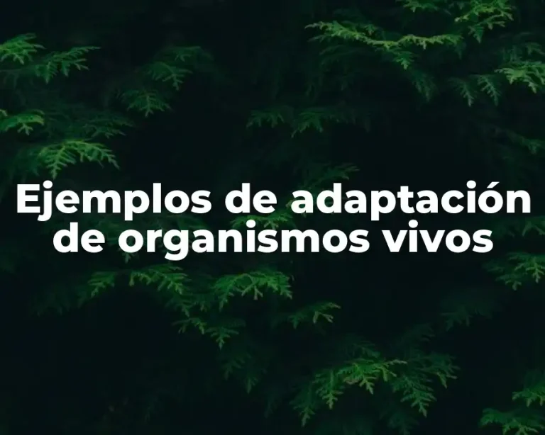 Ejemplos de adaptación de organismos vivos