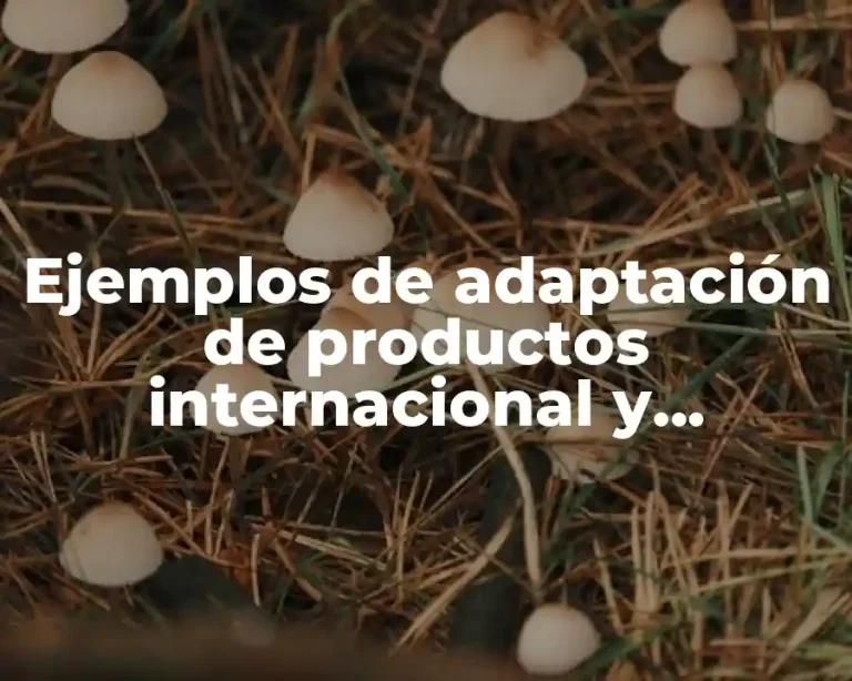 Ejemplos de adaptación de productos internacional y Significado