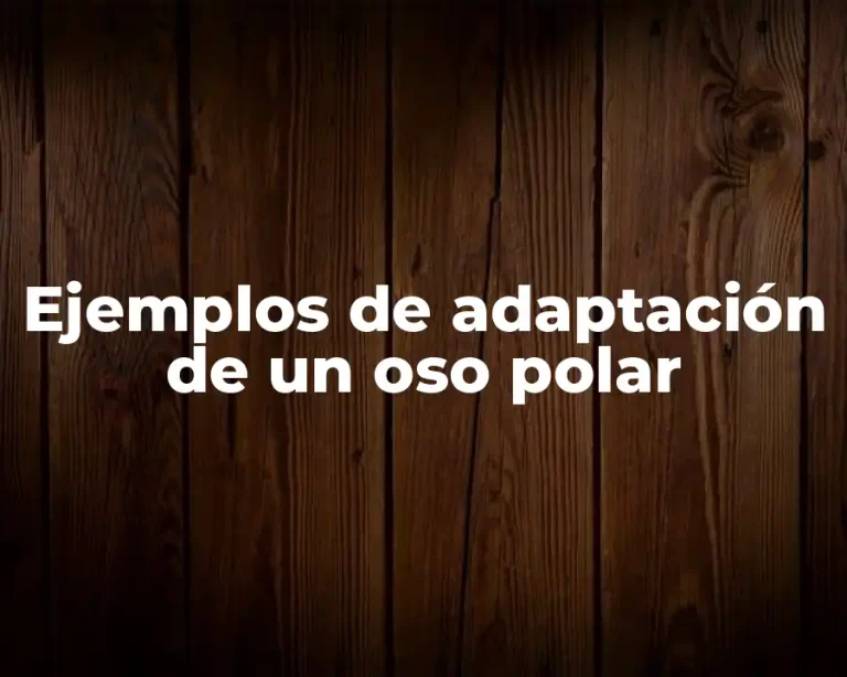 Ejemplos de adaptación de un oso polar