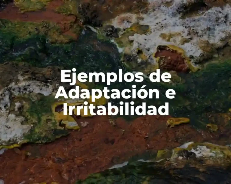 Ejemplos de Adaptación e Irritabilidad