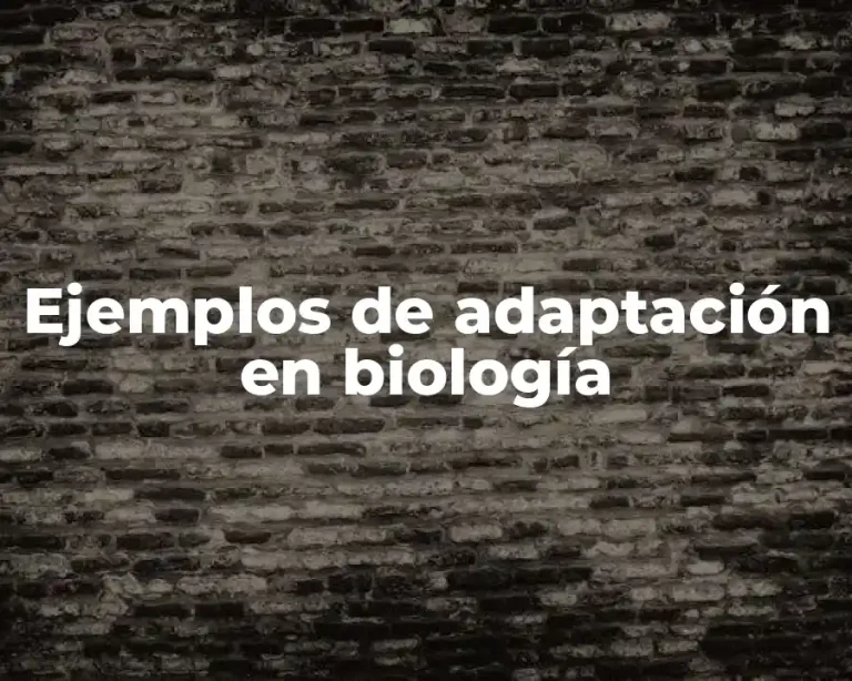 Ejemplos de adaptación en biología