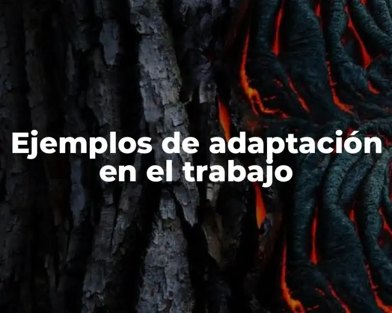 Ejemplos de adaptación en el trabajo