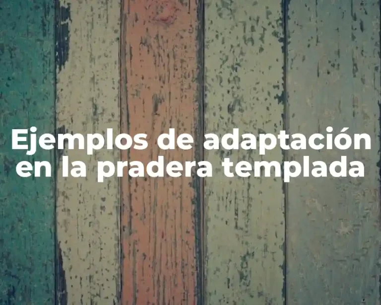 Ejemplos de adaptación en la pradera templada