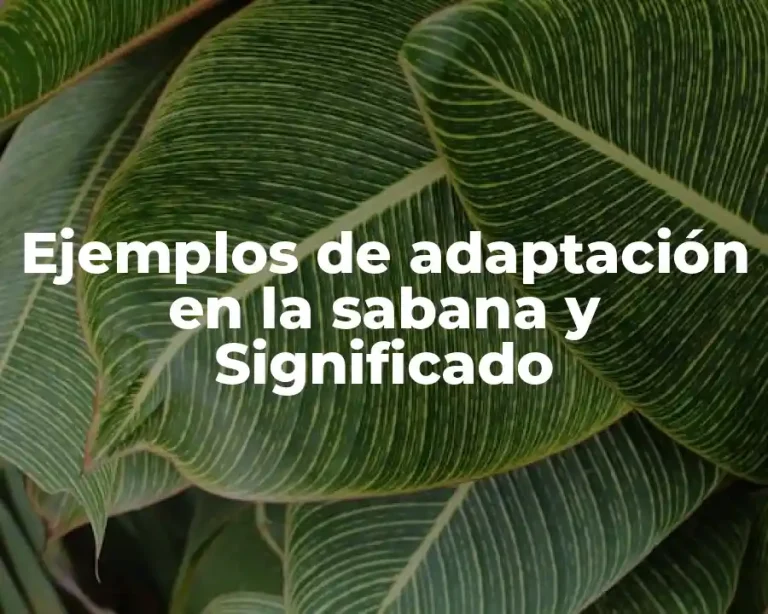 Ejemplos de adaptación en la sabana y Significado