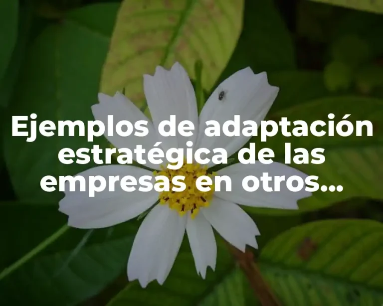 Ejemplos de adaptación estratégica de las empresas en otros países