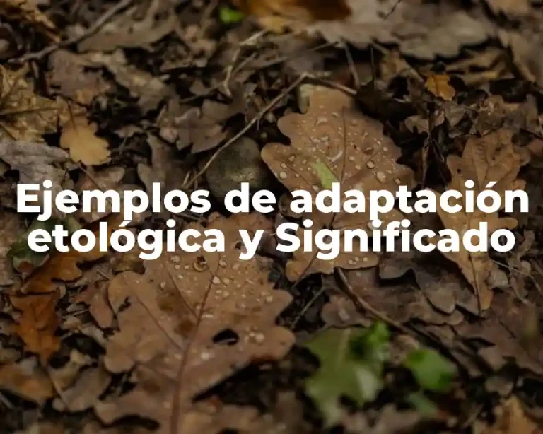 Ejemplos de adaptación etológica y Significado