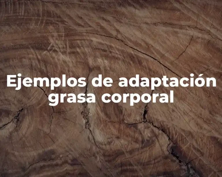 Ejemplos de adaptación grasa corporal