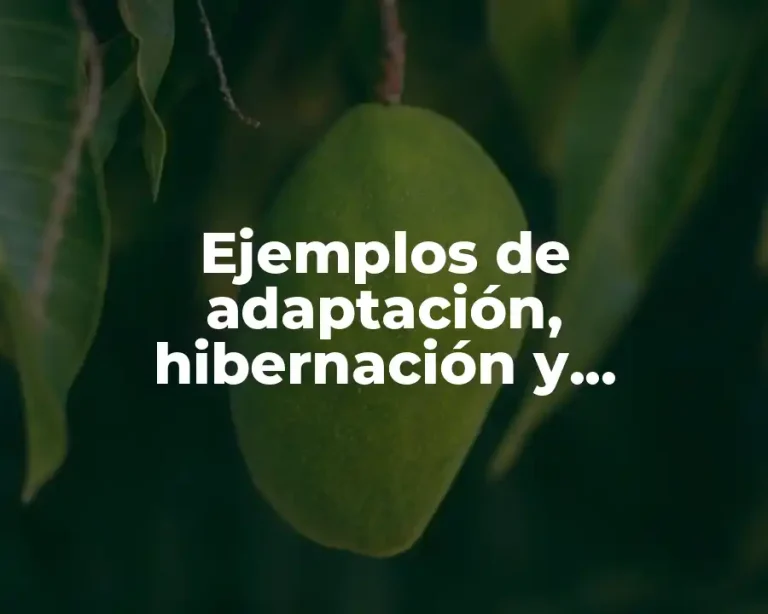 Ejemplos de adaptación, hibernación y elasticidad