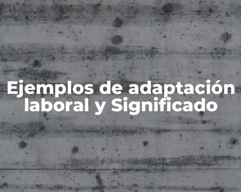 Ejemplos de adaptación laboral y Significado