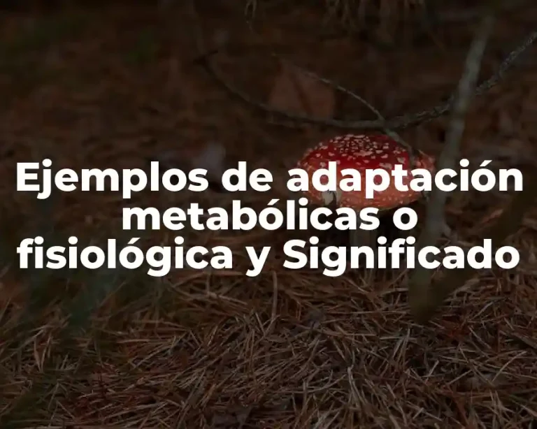 Ejemplos de adaptación metabólicas o fisiológica y Significado