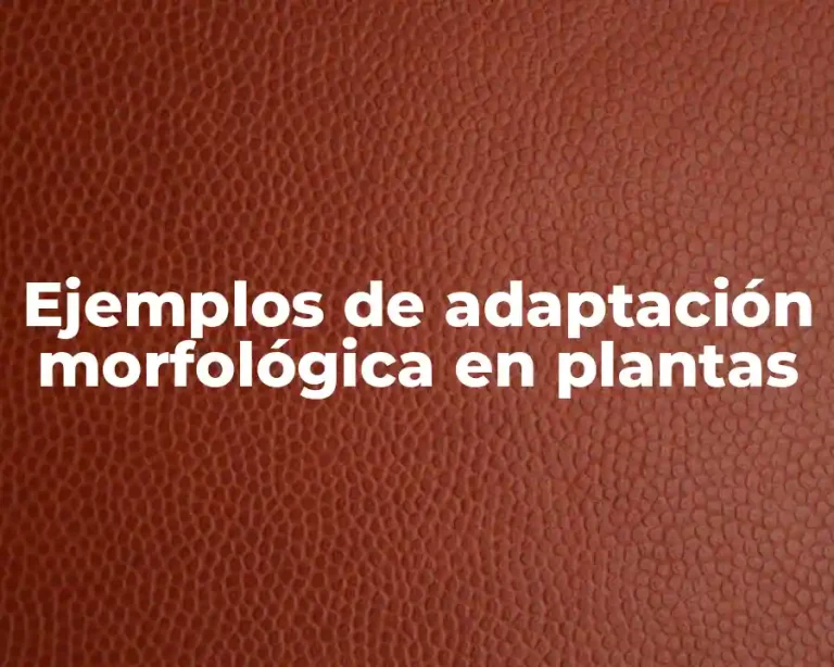 Ejemplos de adaptación morfológica en plantas