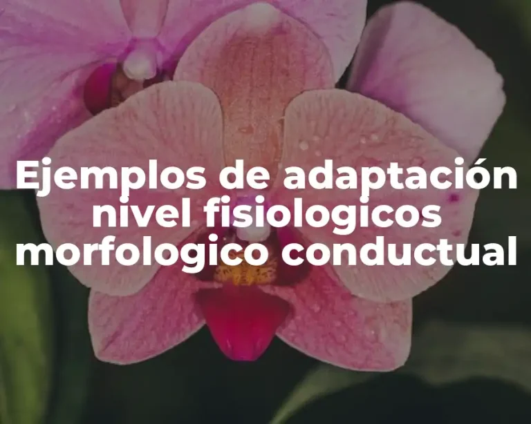 Ejemplos de adaptación nivel fisiologicos morfologico conductual