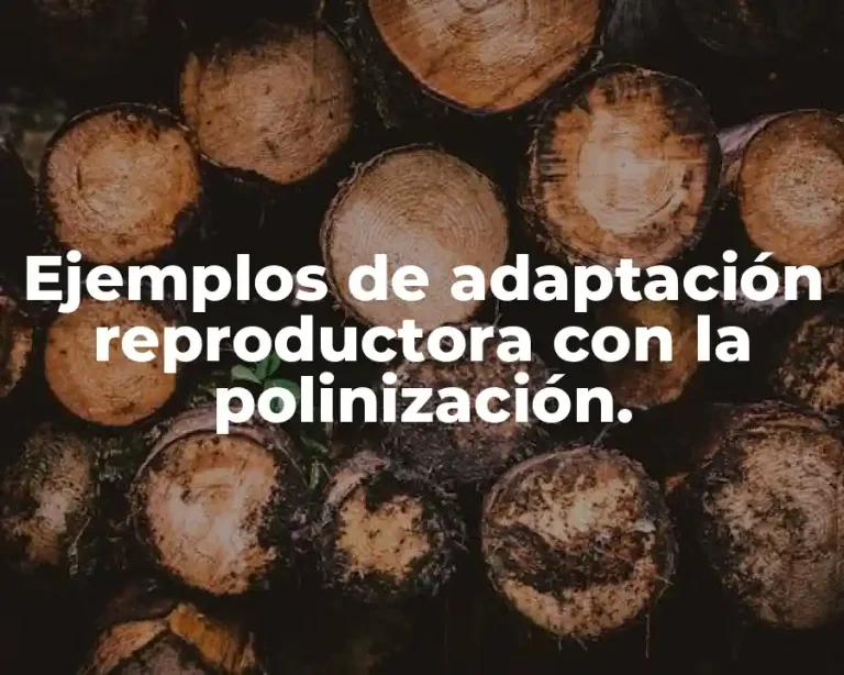 Ejemplos de adaptación reproductora con la polinización.