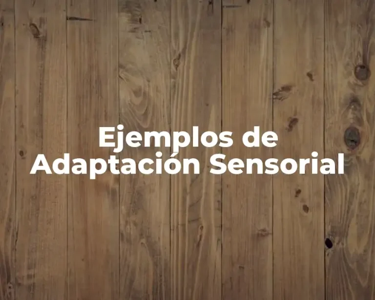 Ejemplos de Adaptación Sensorial