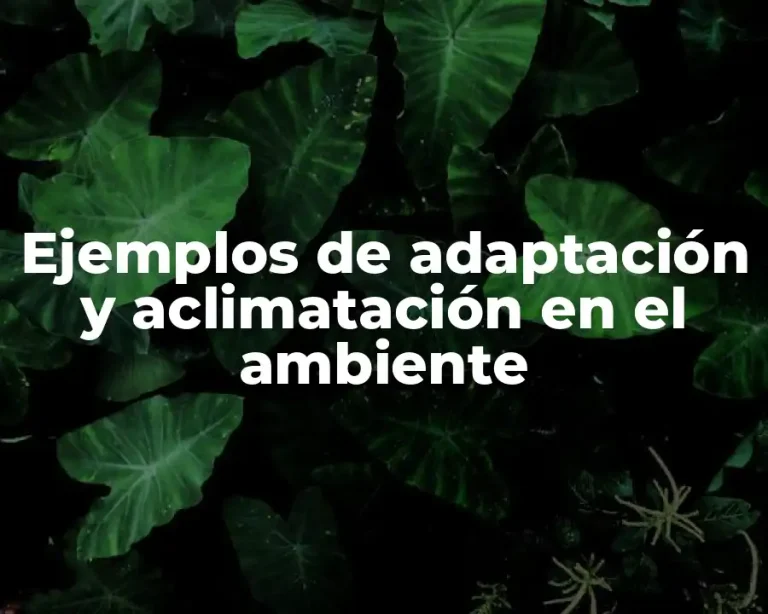 Ejemplos de adaptación y aclimatación en el ambiente