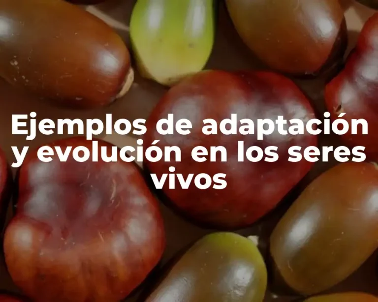 Ejemplos de adaptación y evolución en los seres vivos