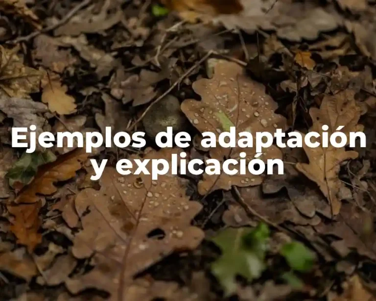 Ejemplos de adaptación y explicación