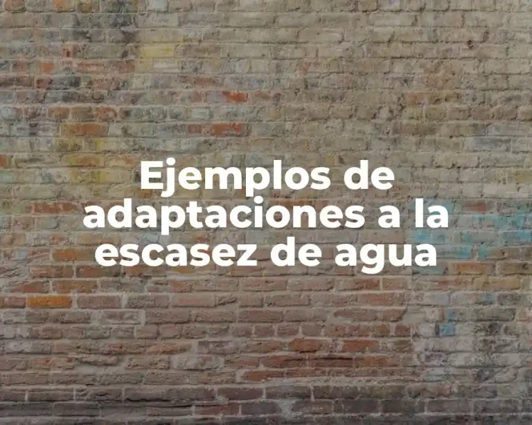 Ejemplos de adaptaciones a la escasez de agua