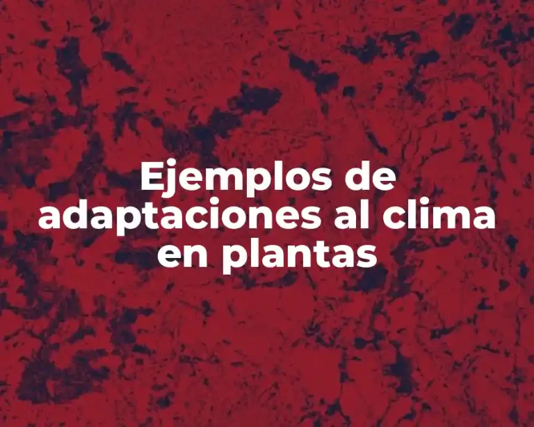 Ejemplos de adaptaciones al clima en plantas