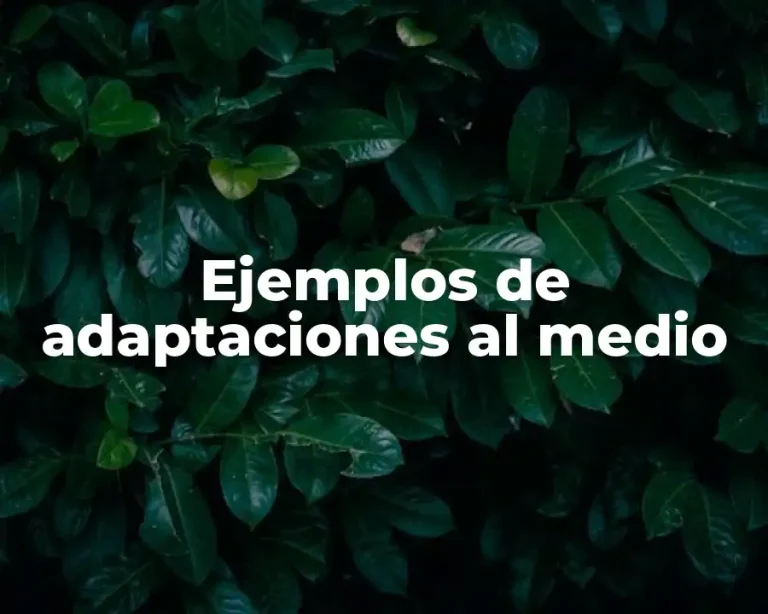 Ejemplos de adaptaciones al medio