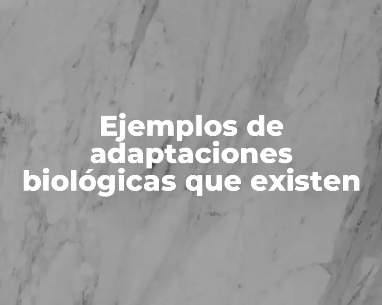 Ejemplos de adaptaciones biológicas que existen