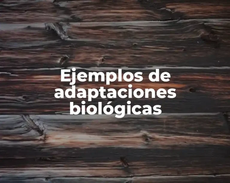 Ejemplos de adaptaciones biológicas