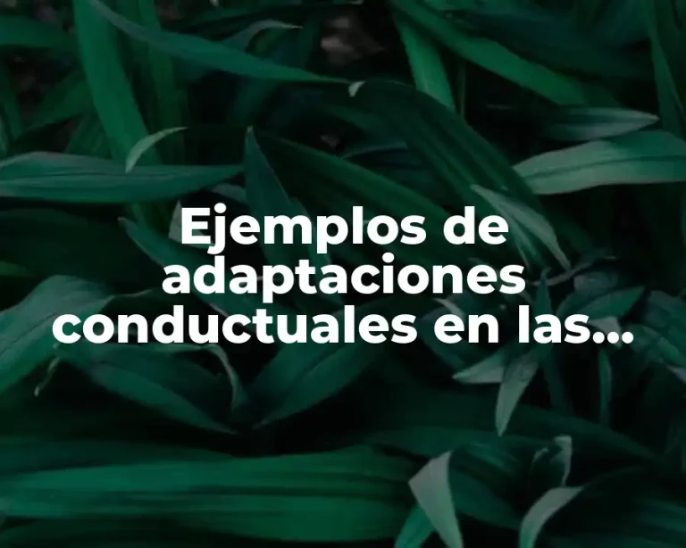Ejemplos de adaptaciones conductuales en las aves