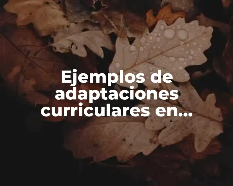 Ejemplos de adaptaciones curriculares en matemáticas