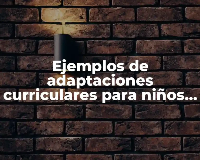 Ejemplos de adaptaciones curriculares para niños con discapacidad