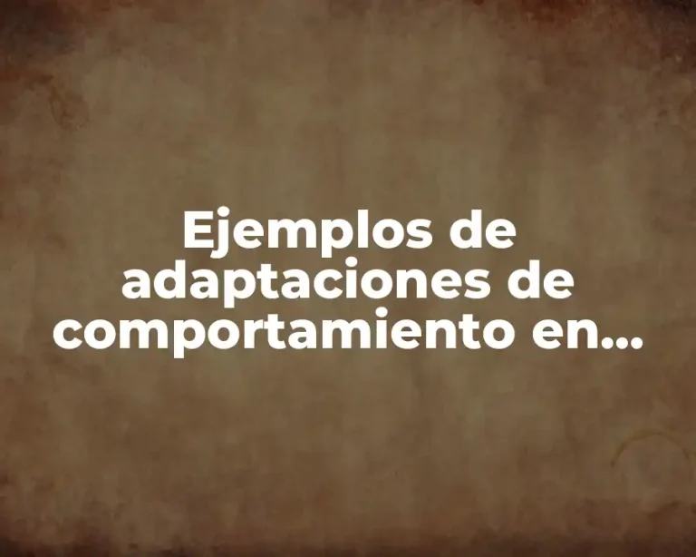 Ejemplos de adaptaciones de comportamiento en plantas